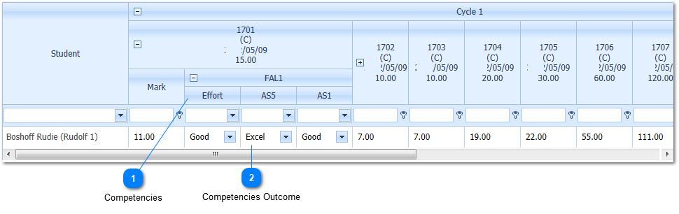 Display Competency Detail