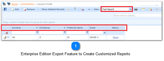Enterprise Edition Export Feature to Create Customized Reports