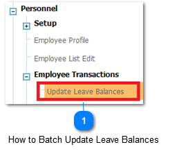 How to Batch Update Leave Balances