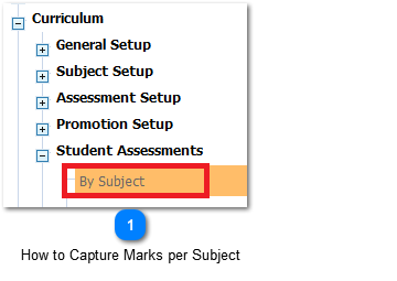 How to Capture Marks per Subject