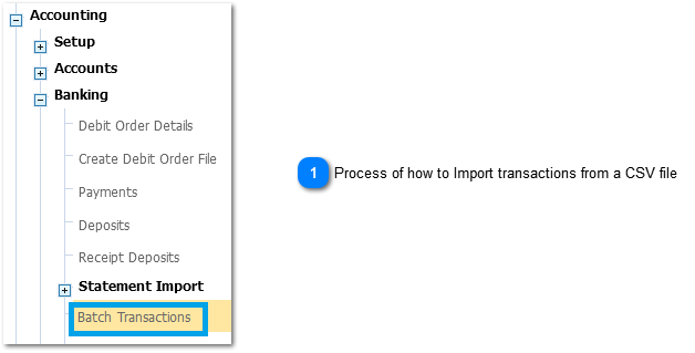 How to Import transactions from a CSV file