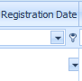 7. Registration Date