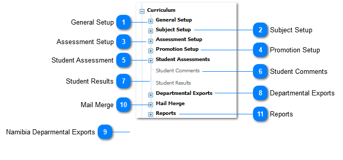 CURRICULUM