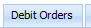 23. Debit Order Tab