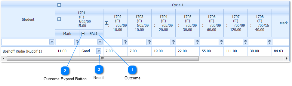 Display Outcome Detail