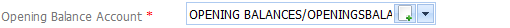 3. Opening Balance Account