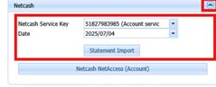 1. Netcash File Import