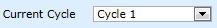 7. Current Cycle