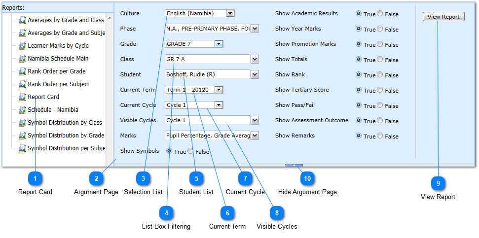 Report Example