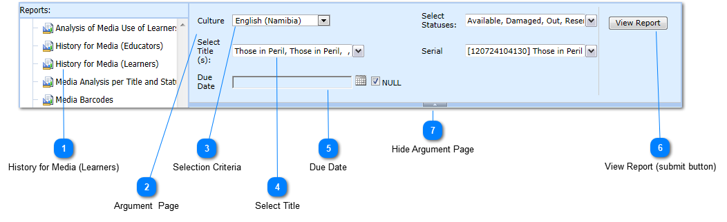 Report Example