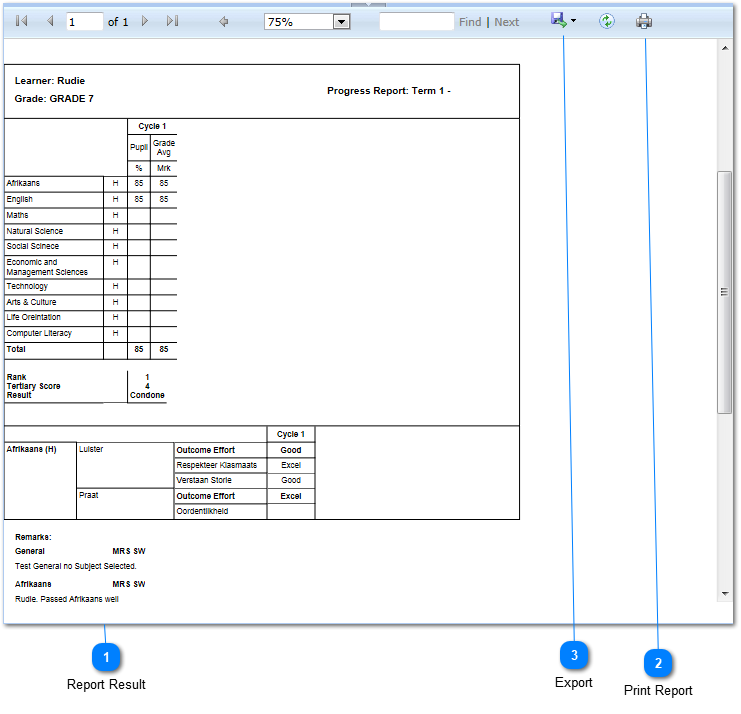 Report Result