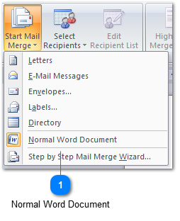 Step 4 - Select Normal Word Document