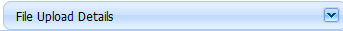 2. File Upload Details